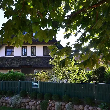 Ferienhaus Strandflieder in Groß Zicker/Halbinsel Mönchgut-2