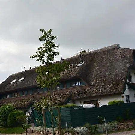 Ferienhaus Strandflieder in Groß Zicker/Halbinsel Mönchgut-3